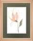 34x40 Blush Petals I By Jennifer Goldberger - Beige