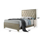 Carine - Queen Bed - Synthetic Leather & Champagne