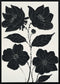 "Nocturnal Blooms I" Hand-Painted Canvas In Frame - Black