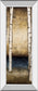 Birch Landing Il By St Germain - Mirror Framed Print Wall Art - Beige