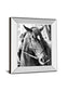 Derby I By Susan Bryant - Mirror Framed Print Wall Art - Dark Gray