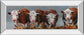 The Diner's Club By Carolyne Hawley -18 x 42 Wall Art - Dark Brown