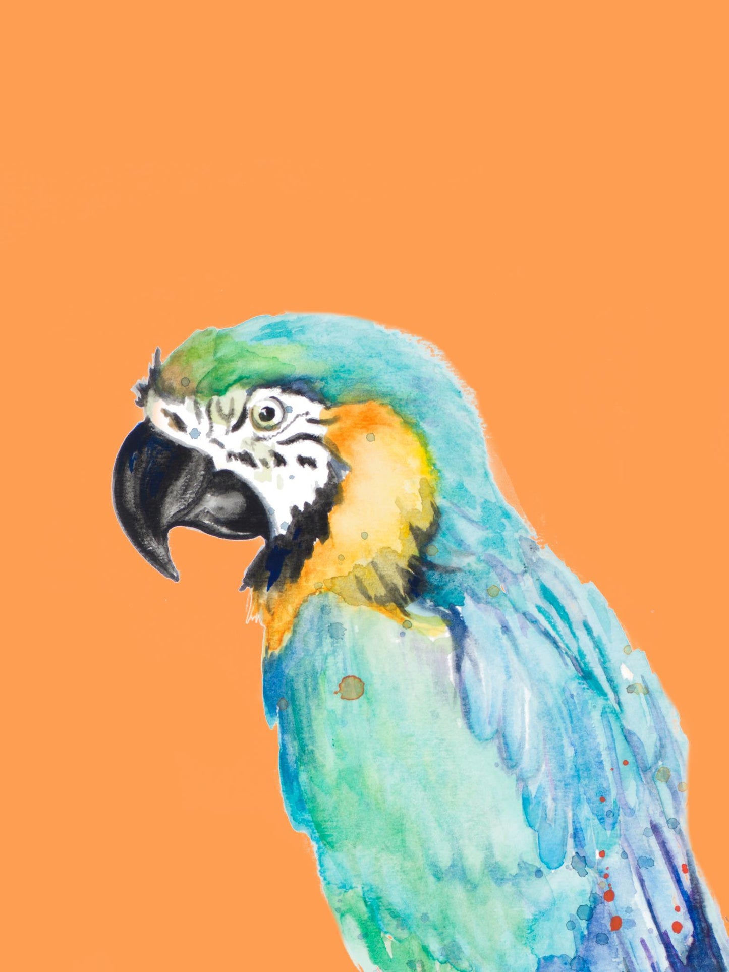 Parrot Portrait By Patricia Pinto (Framed) - Orange