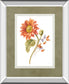 Floursack Autumn II On By Danhui Nai Mirrored Frame - White