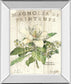 Magnolia De Printemps By Sue Schlabach - Mirror Framed Print Wall Art - Beige