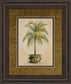 Potted Palm Il - Framed Print Wall Art - Light Brown