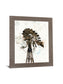 Weathered Blades - 28" x 34" Framed Wall Art - Dark Brown