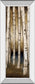 Birch Landing I By St Germain - Mirror Framed Print Wall Art - Beige