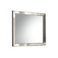 Voeville II - Mirror