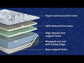 Firm Luxe 2.0 - Mattress
