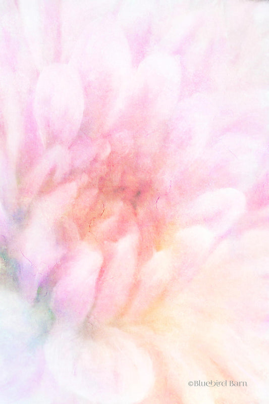 Framed Small - Soft Dahlia Pastel Peach By Bluebird Barn - Beige