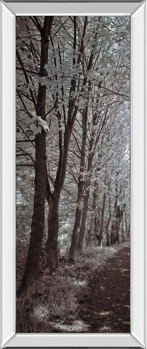 A Walk To Remember I By Ily Szilagyi - Mirrored Frame Wall Art - Dark Brown