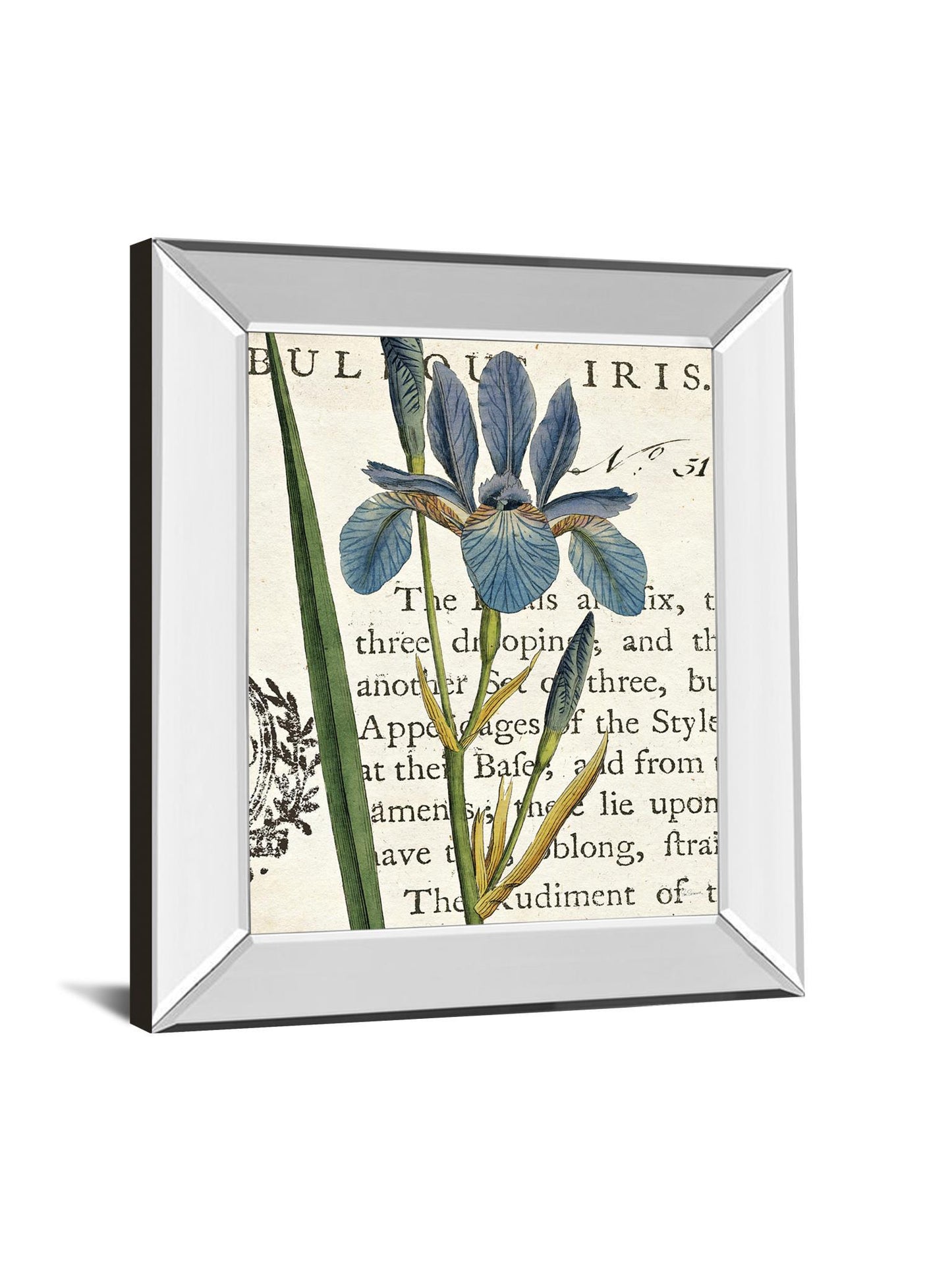 Iris Letter By Sue Schlabach - Mirror Framed Print Wall Art - Blue