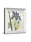 Iris Letter By Sue Schlabach - Mirror Framed Print Wall Art - Blue