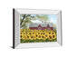 Sunshine By Billy Jacobs - Mirror Framed Print Wall Art - Yellow