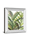 Tropical Greens Il By Rebecca Meyers - Mirror Framed Print Wall Art - Green