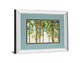 Forest Study I Crop By Lisa Audit Mirror Framed Print Wall Art - Green