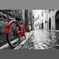 Framed - Red Bicycle - Dark Gray