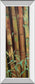 Bamboo Finale I By Suzanne Wilkins - Mirror Framed Print Wall Art - Green
