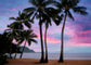 Pink Clouds By Dennis Frates - Purple