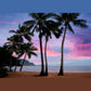 Framed Small - Pink Clouds By Dennis Frates - Purple