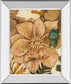Fleurs De Bois By Maja - Mirror Framed Print Wall Art - Beige