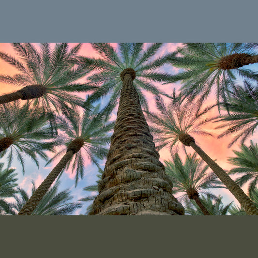 Worms Eye By Dennis Frates - Green