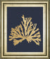 Pacific Sea Mosses IV Indigo By Wild Apple Portfolio - Framed Print Wall Art - Gold