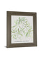 Asparogus Falcatus By Katrien Soeffers - Framed Print Wall Art - Green