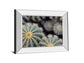 Namib By Irene Suchocki - Mirror Framed Print Wall Art - Green