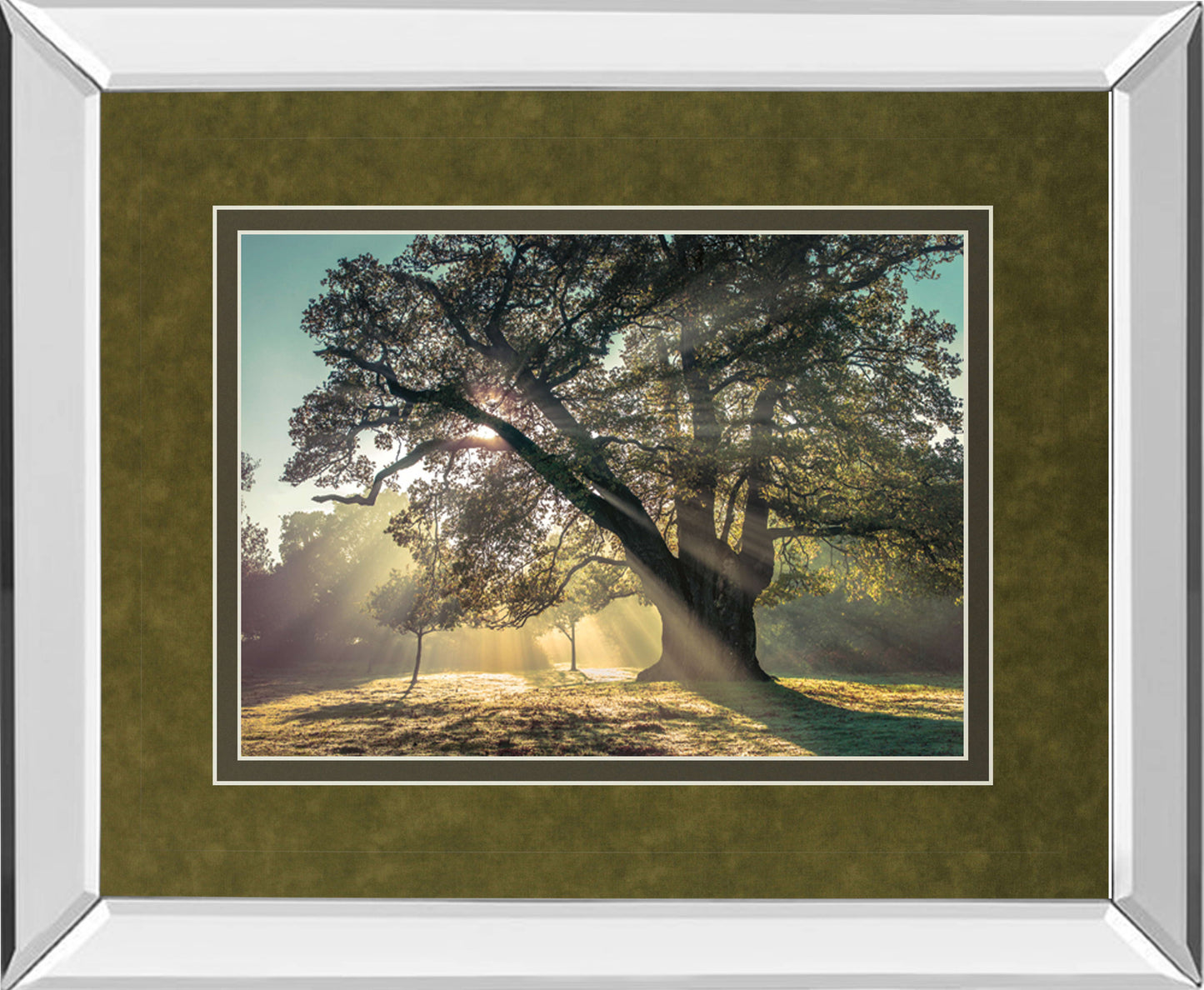 Breaking Through By A. Frank - Mirror Framed Print Wall Art - Green