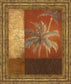 Boy Voyage I By Lanie Loreth - Framed Print Wall Art - Dark Brown