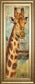 New Safari On Teal I By Patricia Pinto - Framed Print Wall Art - Dark Brown