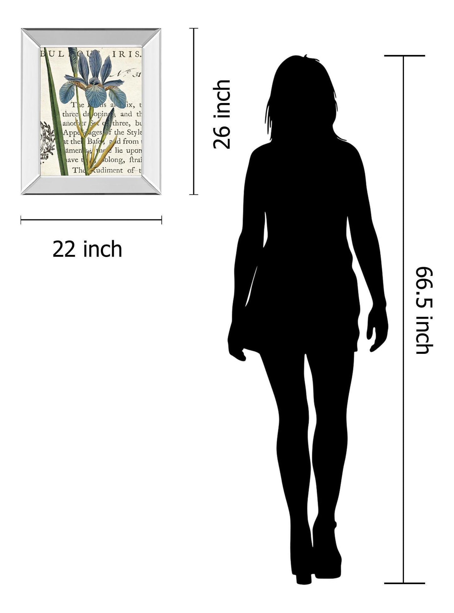 Iris Letter By Sue Schlabach - Mirror Framed Print Wall Art - Blue