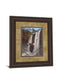 Eagle Portrait I By Leo Stans - Framed Print Wall Art - Black