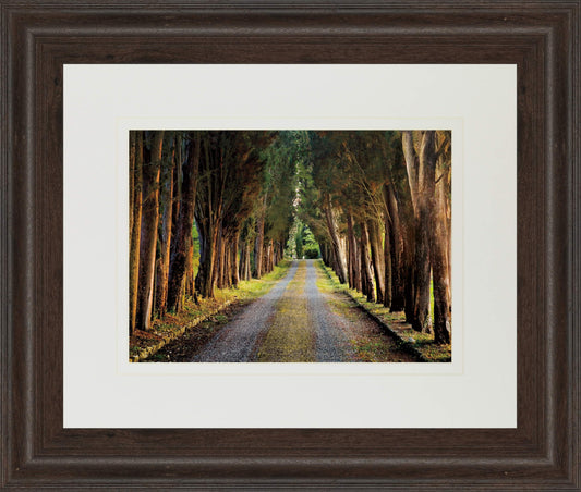 Tree Tunnel By Michael Tunnel And Mossy Oak Native Living - Framed Print Wall Art - Green