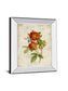 Roses On Newsprint Il By Lanie Loreth - Mirror Framed Print Wall Art - Beige