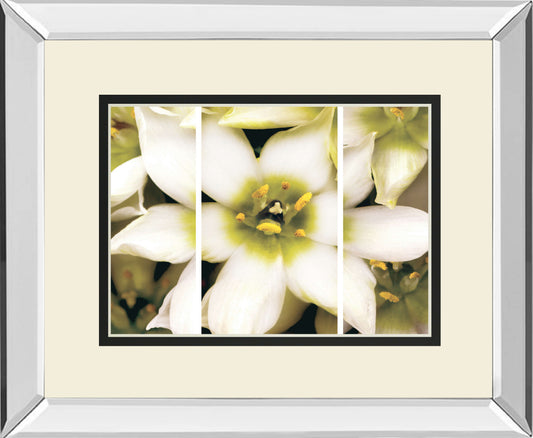 Star Of Bethlehem Triptych By Levine A. Mirrored Frame - White