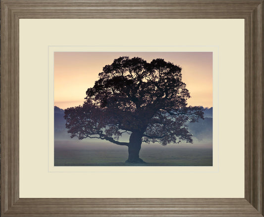 Evening Wisdom By Assaf Frank - Framed Print Wall Art - Black