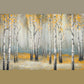 Golden September Birchmichaelmarcon - Yellow
