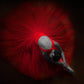 Floating Tempered Glass With Foil Ballerine In Red - Red