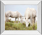 Peace By Irene Suchocki - Mirror Framed Print Wall Art - White