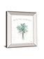 Farmhouse Cotton VI By Beth Grove - Mirror Framed Print Wall Art - White