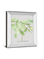 Ficus Robusta By Katrien Soeffers - Mirror Framed Print Wall Art - Green