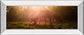 Morning Haze By Joe Reynolds - Print Wall Art - Dark Brown