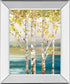 22x26 Down By The River By Allison Pearce - Mirror Framed Print Wall Art - White