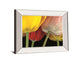 Sunshine Tulips By Frank, A. - Mirror Framed Print Wall Art - Yellow