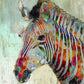 Small - Paint Splash Zebra By Nan - Orange