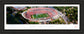 University Of Virginia #1 - Black