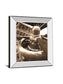 Dc4 Aircraft By Danita Delimont - Mirror Framed Print Wall Art - Gold